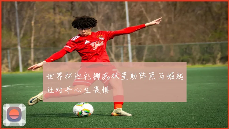 世界杯巡礼挪威双星助阵黑马崛起让对手心生畏惧